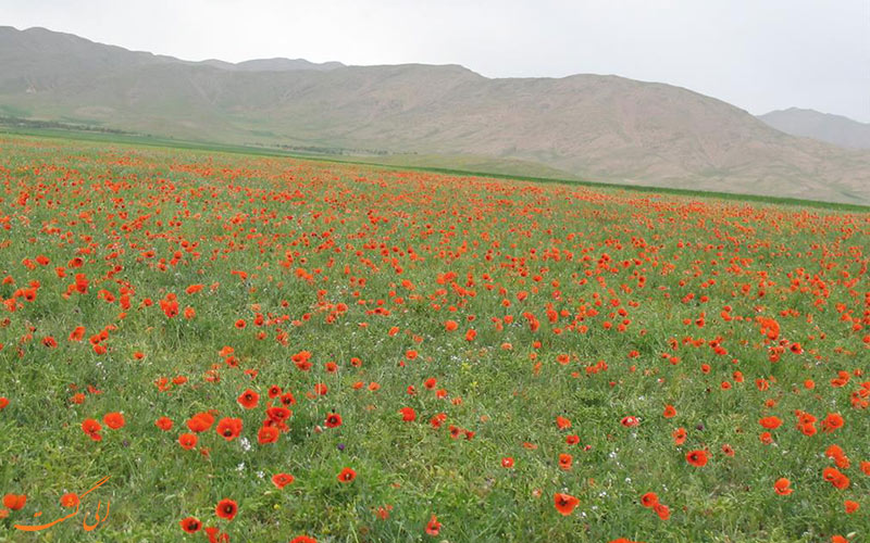 روستای هزاوه